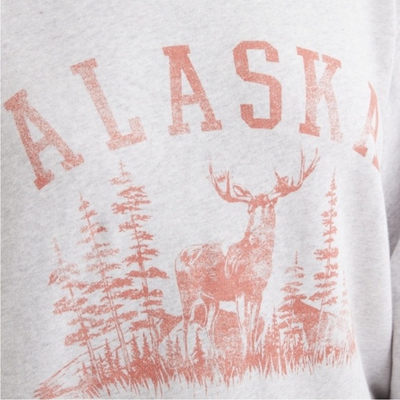 Aerie Alaska grey oversized crew neck sweatshirt - Picture 4 of 8